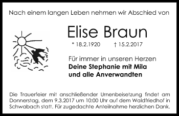 Traueranzeige von Elise Braun von Roth-Hilpoltsteiner Volkszeitung Lokal