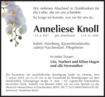 Traueranzeige von Anneliese Knoll von Gesamtausgabe Nürnberger Nachrichten/ Nürnberger Ztg.