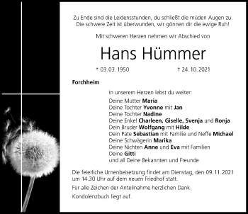 Traueranzeige von Hans Hümmer von Nordbayerische Nachrichten Forchheim Lokal