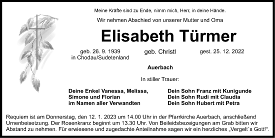 Traueranzeige von Elisabeth Türmer von Nordbayerische Nachrichten Pegnitz Lokal