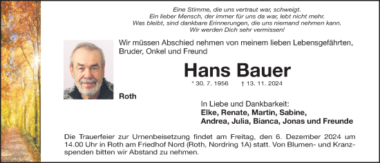 Traueranzeige von Hans Bauer von Roth-Hilpoltsteiner Volkszeitung Lokal