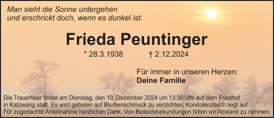 Traueranzeige von Frieda Peuntinger von Gesamtausgabe Nürnberger Nachrichten/ Nürnberger Ztg.