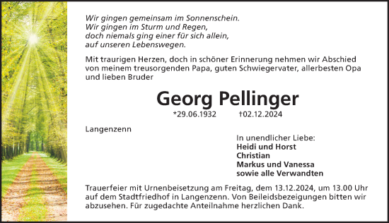 Traueranzeige von Georg Pellinger von Fürther Nachrichten Lokal