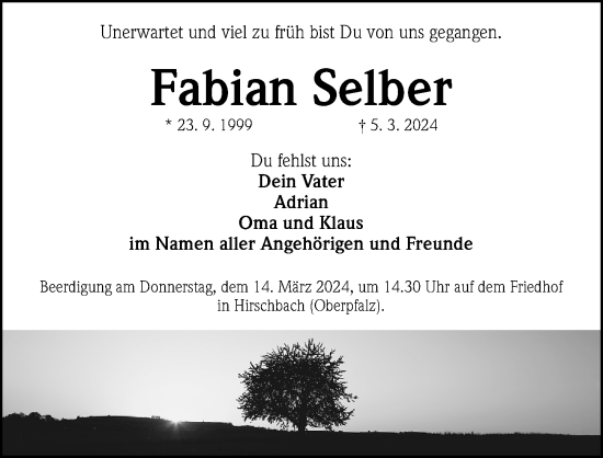 Traueranzeige von Fabian Selber von Gesamtausgabe Nürnberger Nachrichten/ Nürnberger Ztg.