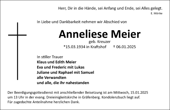 Traueranzeige von Anneliese Meier von Gesamtausgabe Nürnberger Nachrichten/ Nürnberger Ztg.