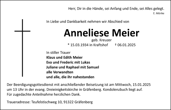 Traueranzeige von Anneliese Meier von Nordbayerische Nachrichten Forchheim Lokal