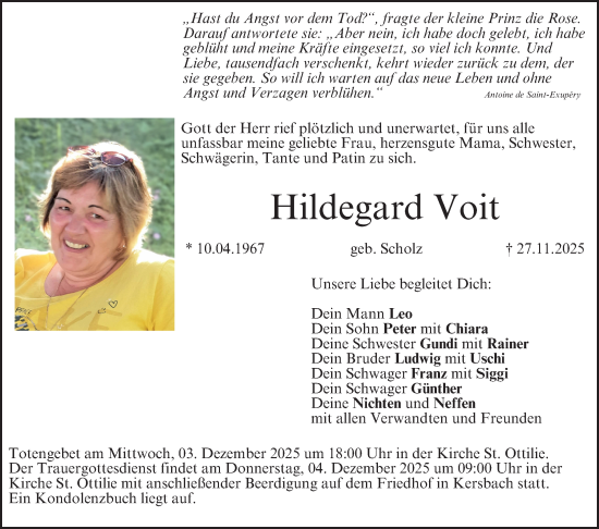 Traueranzeige von Hildegard Voit von Nordbayerische Nachrichten Forchheim Lokal