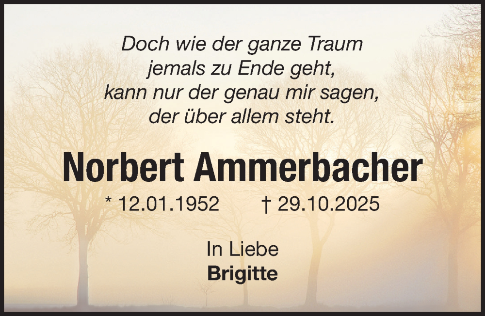  Traueranzeige für Norbert Ammerbacher vom 08.11.2025 aus Gesamtausgabe Nürnberger Nachrichten/ Nürnberger Ztg.
