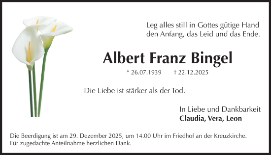 Traueranzeige von Albert Franz Bingel von Roth-Hilpoltsteiner Volkszeitung Lokal