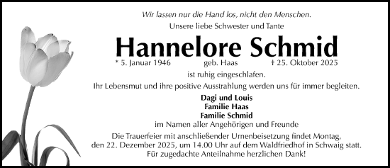 Traueranzeige von Hannelore Schmid von Gesamtausgabe Nürnberger Nachrichten/ Nürnberger Ztg.