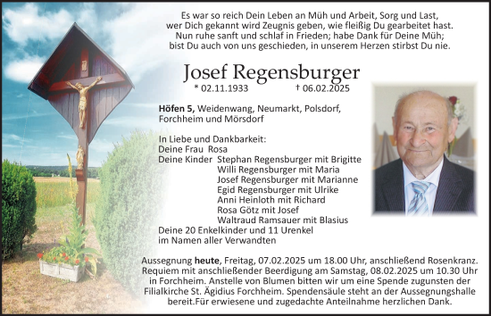 Traueranzeige von Josef Regensburger von Roth-Hilpoltsteiner Volkszeitung Lokal