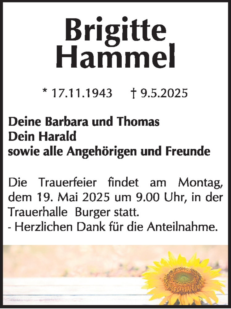  Traueranzeige für Brigitte Hammel vom 17.05.2025 aus Gesamtausgabe Nürnberger Nachrichten/ Nürnberger Ztg.