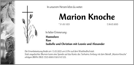 Traueranzeige von Marion Knoche von Gesamtausgabe Nürnberger Nachrichten/ Nürnberger Ztg.