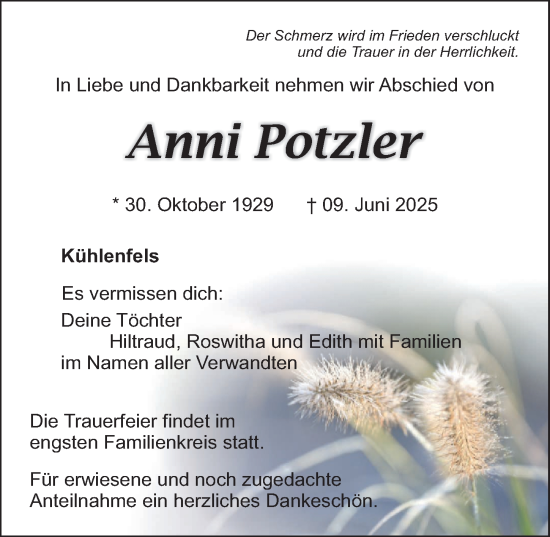 Traueranzeige von Anni Potzler von Nordbayerische Nachrichten Pegnitz Lokal