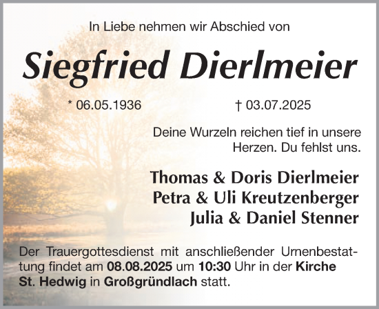 Traueranzeige von Siegfried Dierlmeier von Gesamtausgabe Nürnberger Nachrichten/ Nürnberger Ztg.