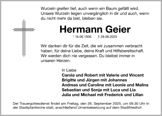 Traueranzeige von Hermann Geier von Nordbayerische Nachrichten Herzogenaurach Lokal