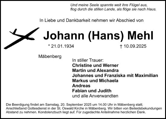 Traueranzeige von Johann Mehl von Roth-Hilpoltsteiner Volkszeitung/ Schwabach