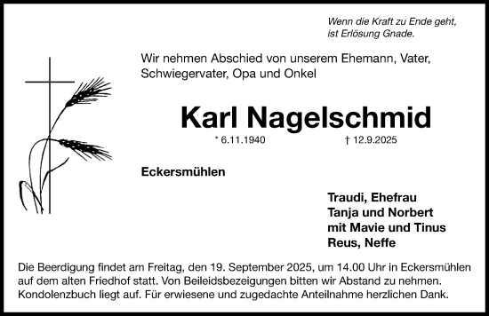 Traueranzeige von Karl Nagelschmid von Roth-Hilpoltsteiner Volkszeitung Lokal
