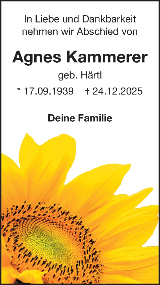 Traueranzeige von Agnes Kammerer von Gesamtausgabe Nürnberger Nachrichten/ Nürnberger Ztg.