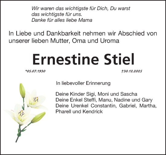 Traueranzeige von Ernestine Stiel von Erlanger Nachrichten Lokal