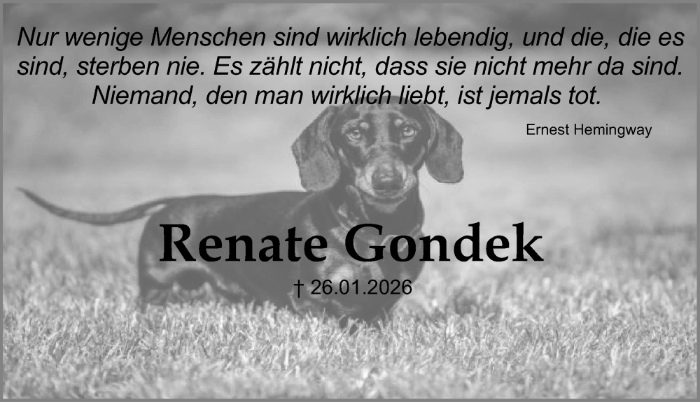  Traueranzeige für Renate Gondek vom 31.01.2026 aus Gesamtausgabe Nürnberger Nachrichten/ Nürnberger Ztg.