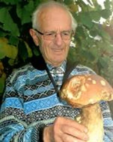 Profilbild Richard Dotzer