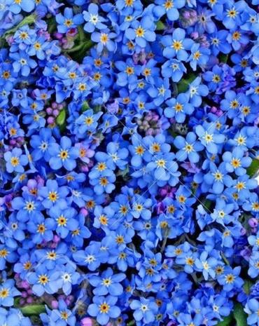 Profilbild Annemarie Turnwald